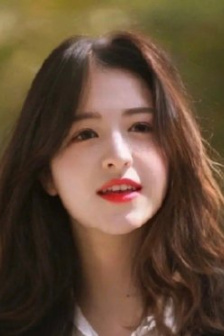 电影《默杀》2024免费观看